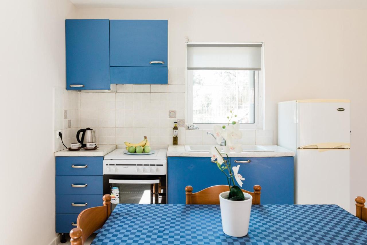 Alexandros Apartments Nydri Buitenkant foto